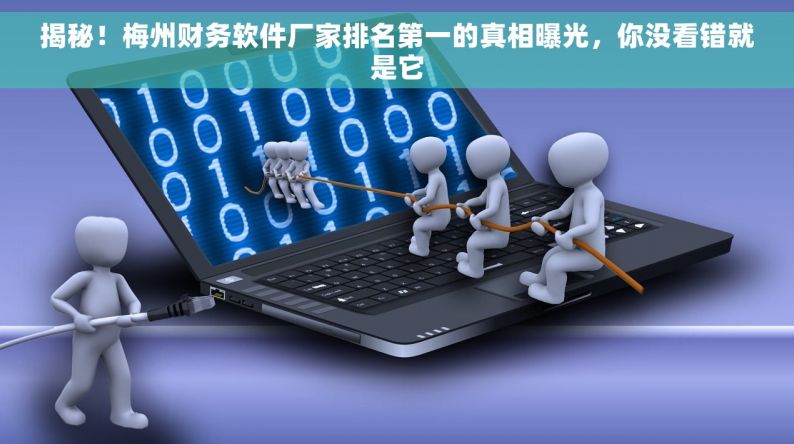 揭秘！梅州財(cái)務(wù)軟件廠家排名第一的真相，你沒看錯(cuò)就是它